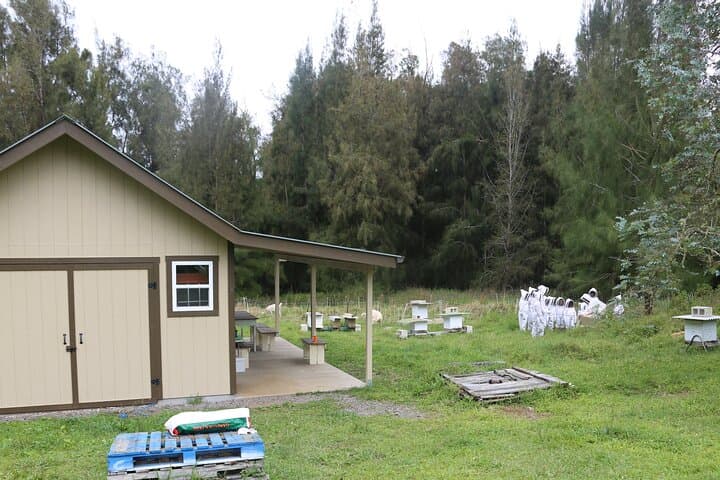 Private 2-Hour Beekeeping Tour in Honokaa — Hands-On Apiary Experience on Hawaii's Big Island