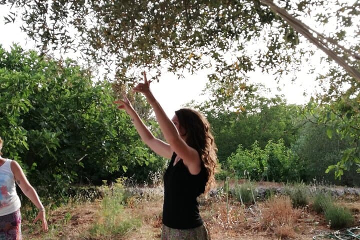 Pizzica & Taranta: Dancing Under Centuries-Old Olive Trees in Puglia photo 5