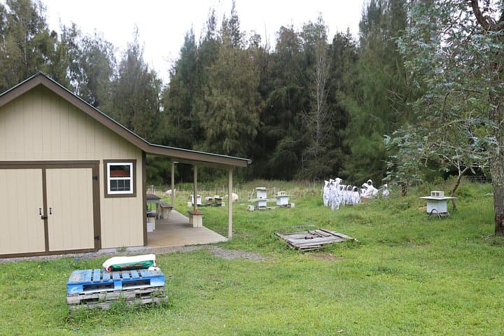 Private 2-Hour Beekeeping Tour in Honokaa — Hands-On Apiary Experience on Hawaii's Big Island photo 3