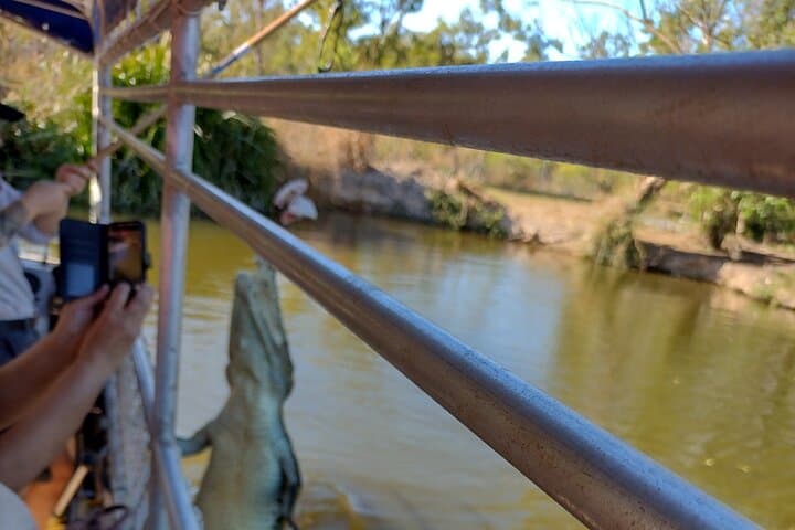 Litchfield Park & Jumping Crocodile Cruise — Day Trip from Darwin