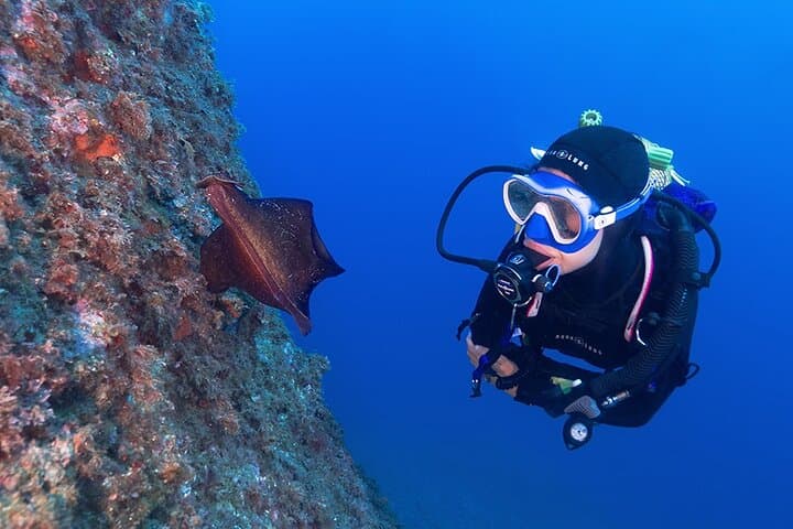 Small-Group Scuba Diving Adventure in Costa Brava — Try Dive near Girona