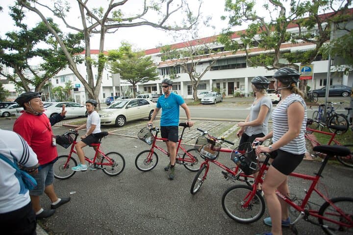 Private Half-Day Singapore Bike Tour: Hidden Streets, Riverfront & Colonial Sights photo 5