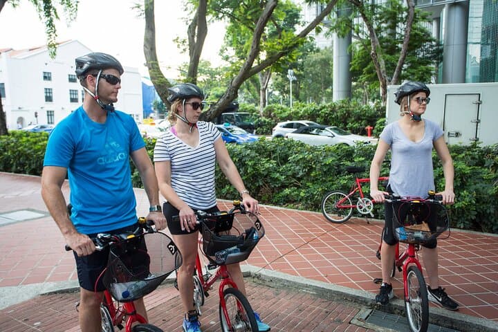 Private Half-Day Singapore Bike Tour: Hidden Streets, Riverfront & Colonial Sights photo 6