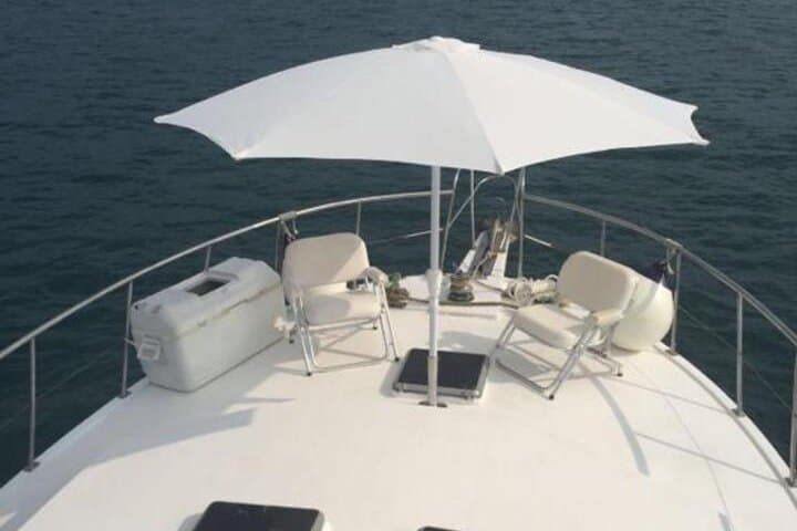 VIP Half-Day Private Cruise in Bahía Herradura from Jaco Beach photo 5