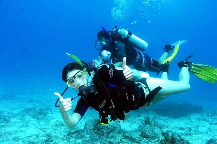 Beginner Scuba Diving in Cambrils — Costa Dorada Intro Dive with Hotel Pickup photo 6