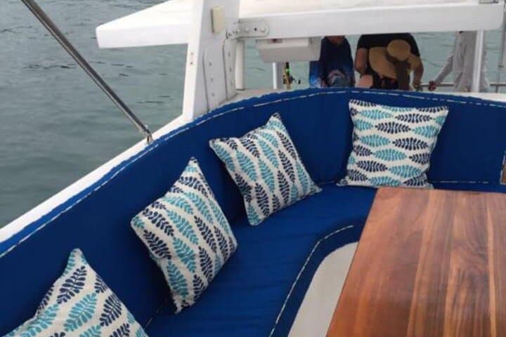 VIP Half-Day Private Cruise in Bahía Herradura from Jaco Beach photo 6