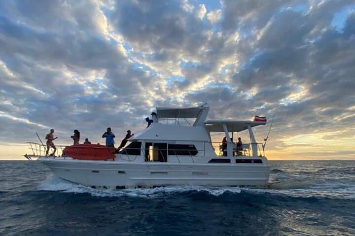VIP Half-Day Private Cruise in Bahía Herradura from Jaco Beach