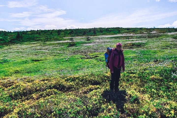 3-Day Fulufjället Hiking Tour: Old Tjikko, Njupeskär & Plateau Camping photo 2