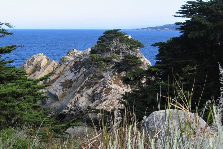 Explore Point Lobos: Guided 2-Hour Nature Walk Through Coastal Wilderness photo 4