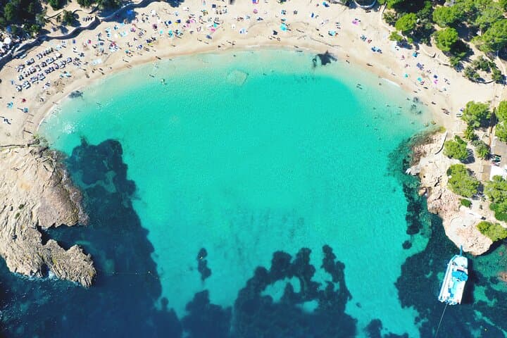 Sunset Beach-Hopping Cruise to Cala Comte & Cala Bassa — SUP, Snorkel, Swim photo 2