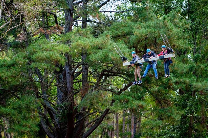 Thrill-Seeker’s Guide to Mount Lofty Adventure Hub: Rock Climbing, Ziplining & Mega Swing photo 4
