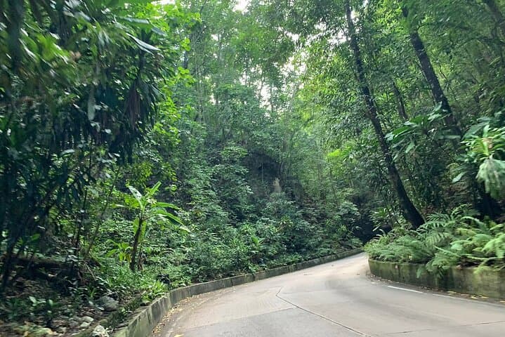 Private Ocho Rios Tour: Dunn's River Falls Climb & Scotchies Lunch photo 6