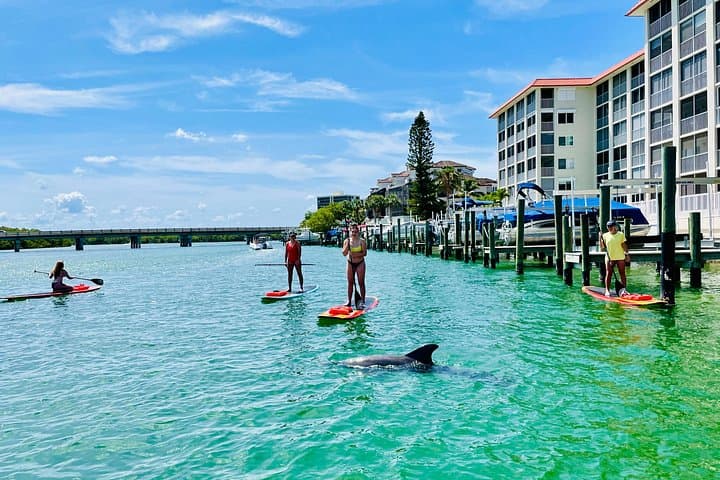 Fort Myers Dolphin and Manatee Paddle Tour — 2-Hour Wildlife Eco-Trip photo 4