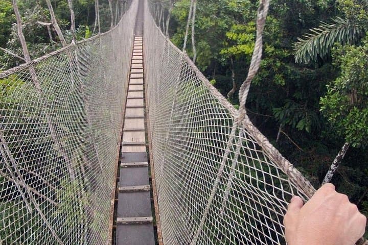 5-Day Guided Amazon Jungle Tour from Iquitos to Maniti Eco-Lodge photo 5