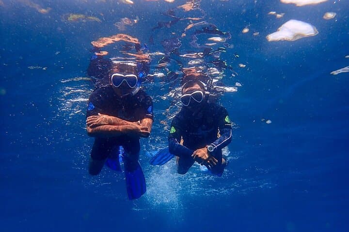 Diving the USAT Liberty Wreck: Full-Day Tulamben Scuba Adventure photo 5