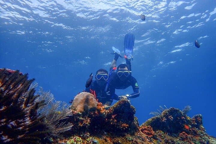 Diving the USAT Liberty Wreck: Full-Day Tulamben Scuba Adventure photo 6