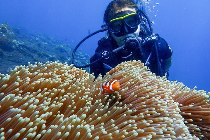 Diving the USAT Liberty Wreck: Full-Day Tulamben Scuba Adventure photo 2