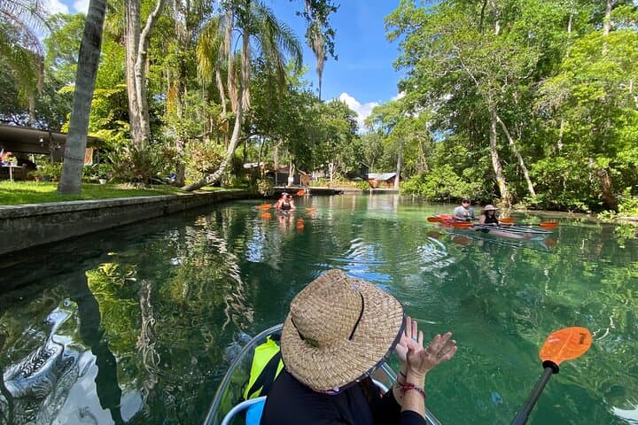 Clear Kayak Tours in Weeki Wachee: Paddle Spring-Fed Rivers with Manatees photo 3