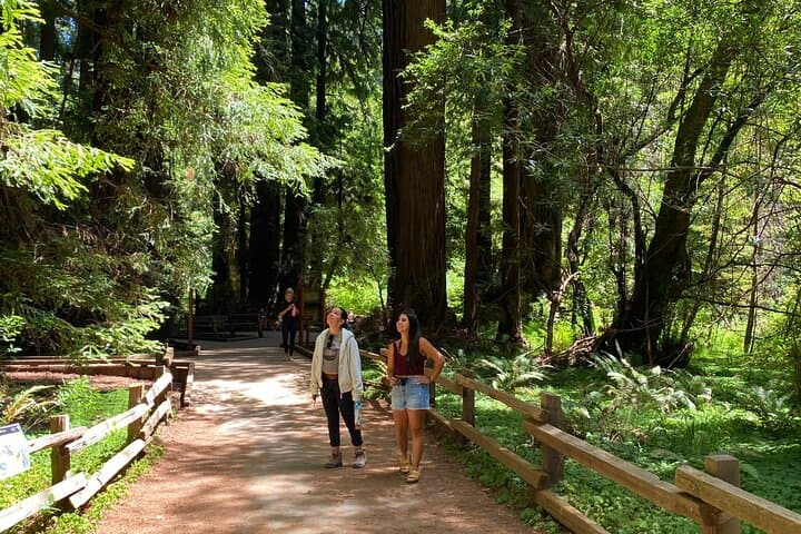 Muir Woods and Golden Gate Bridge: 3-Hour Private Open-Top Jeep Tour from San Francisco photo 5
