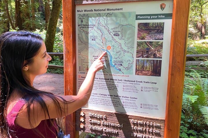 Muir Woods and Golden Gate Bridge: 3-Hour Private Open-Top Jeep Tour from San Francisco photo 6