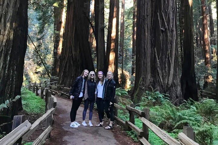 Muir Woods and Golden Gate Bridge: 3-Hour Private Open-Top Jeep Tour from San Francisco