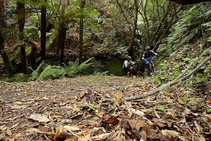 Great Lake Trail Taupo: 2-Day Mountain Biking Tour on Pumice Trails photo 4