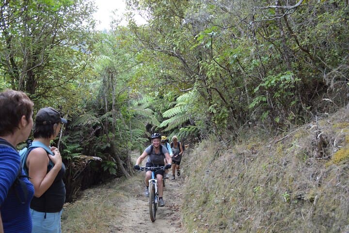 Great Lake Trail Taupo: 2-Day Mountain Biking Tour on Pumice Trails photo 5