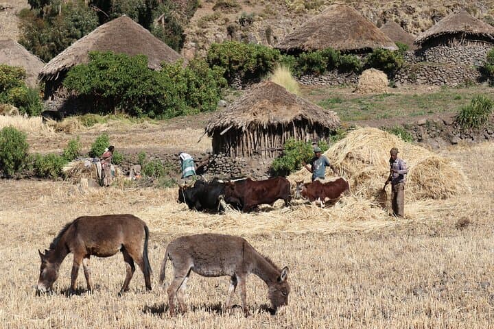 Lalibela 2-Day Eco Trek: Trek to Atabkit Escarpment and Highland Village Stay photo 5