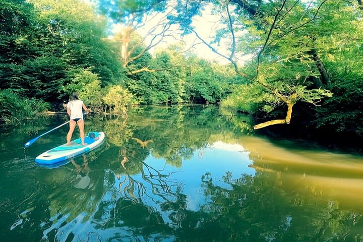 Paddleboarding Nové Mlýny to Lednice: Thaya River SUP Trip in South Moravia