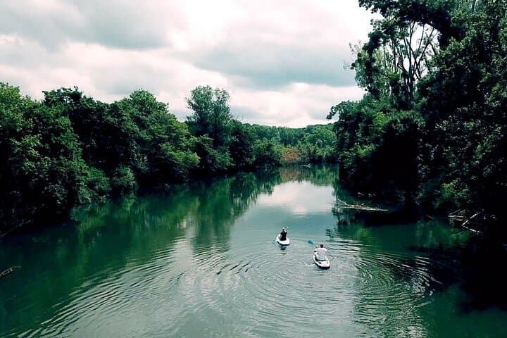 Paddleboarding Nové Mlýny to Lednice: Thaya River SUP Trip in South Moravia photo 4