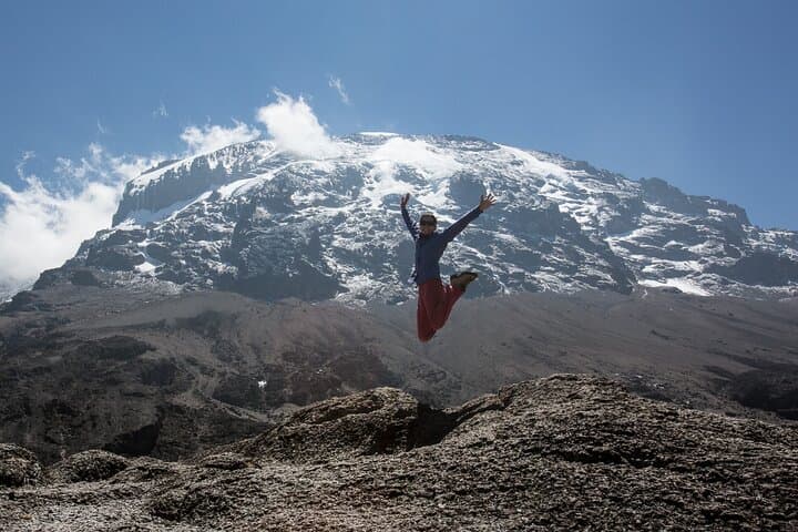 Lemosho Route Kilimanjaro: 8-Day Summit Trek from Londorossi to Uhuru Peak
