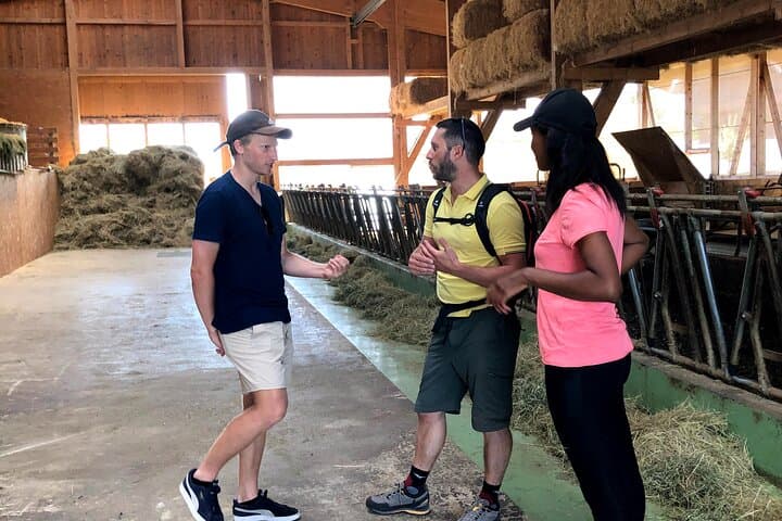 Sonnenberg Walk & Swiss Cheese Tasting: Lucerne Farm Tour photo 2