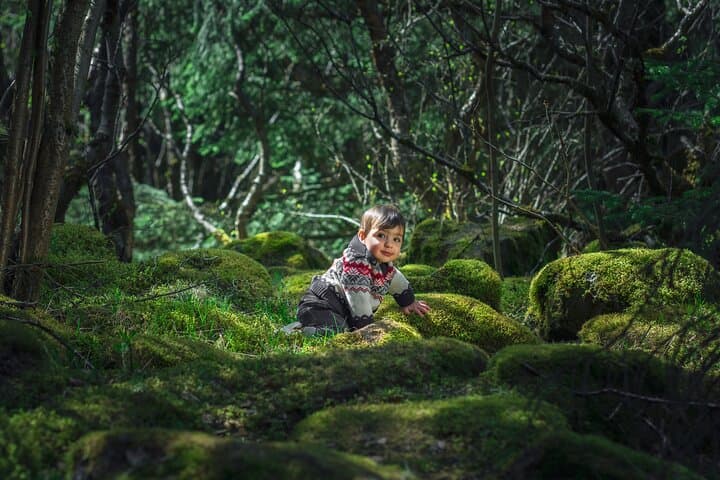 Golden Circle Photography Tour: Private Full-Day Shoot from Reykjavík photo 5