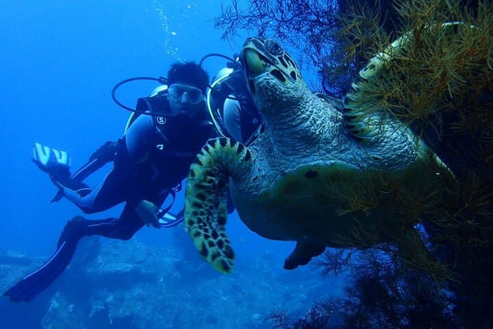 Tulamben USS Liberty Shipwreck Scuba Diving — Full-Day Bali Wreck Dives photo 1