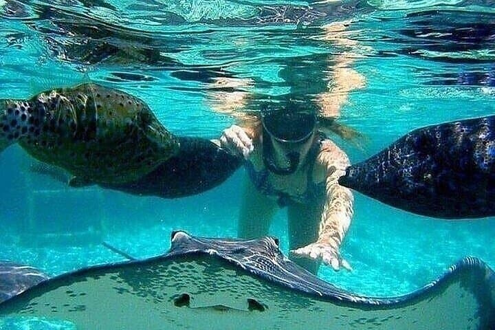 Johnny Cay & Haynes Cay Tour — Aquarium, Mangroves & Snorkel from San Andrés photo 2