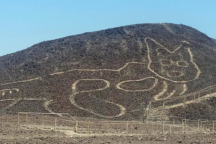 Nazca Lines, Ballestas & Huacachina: 2-Day Ica Coast Adventure photo 3