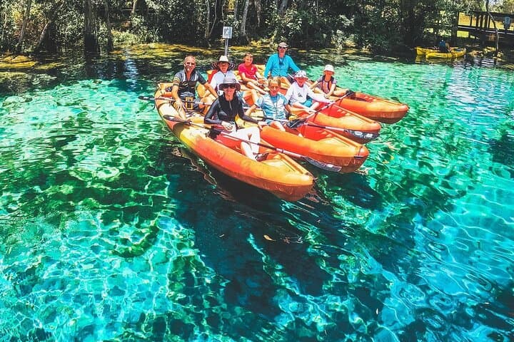 Kayak and Swim Three Sisters Springs — Guided Eco-Tour in Crystal River photo 4