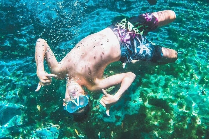 Kayak and Swim Three Sisters Springs — Guided Eco-Tour in Crystal River photo 2