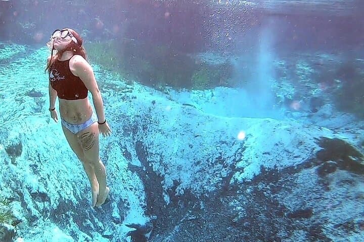 Kayak and Swim Three Sisters Springs — Guided Eco-Tour in Crystal River