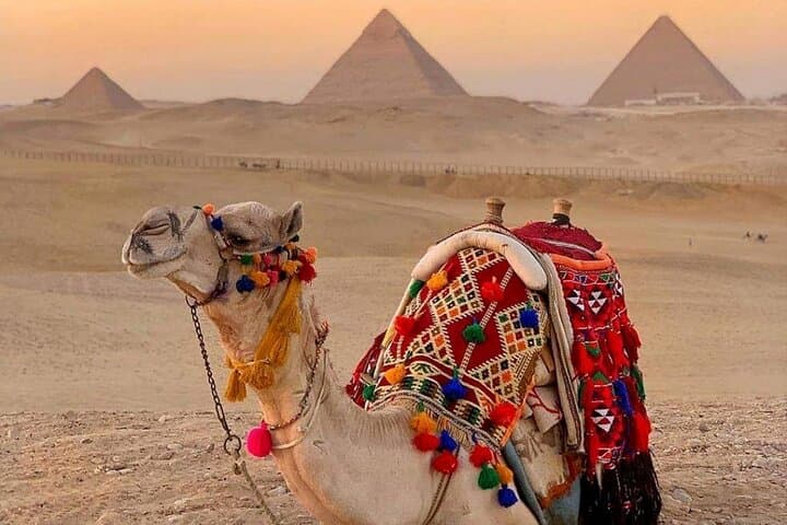 Cairo Day Tour: Giza Pyramids, Saqqara, Memphis & Dahshur in One Day