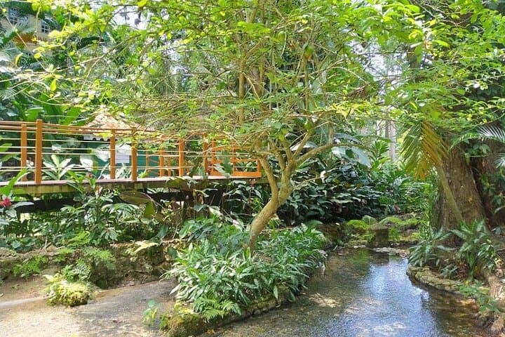 Climb Konoko Falls: Private Tour of Ocho Rios' Tropical Garden and Cascades photo 5