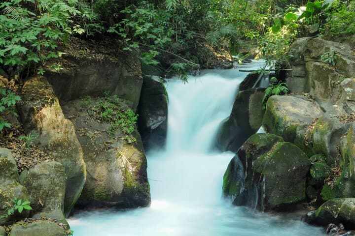 Uruapan Day Tour: Cupatitzio Springs & Tinganio Archaeological Site photo 3