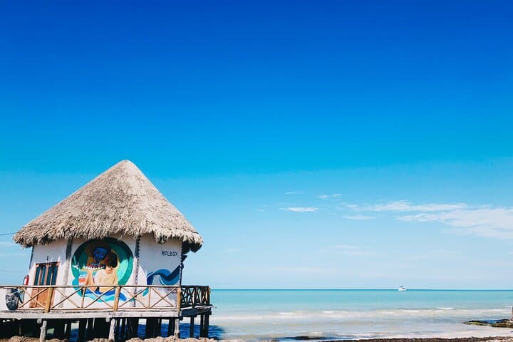 Cancun to Akumal Private Transfer with Cenote Sightseeing photo 5