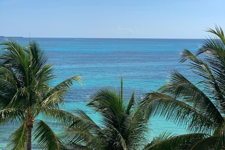 Akumal to Cancún: Private Half-Day Transfer with Cenote Stops