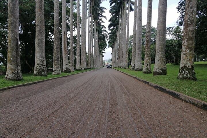 Aburi Botanical Gardens and Boti Falls Private Day Tour from Accra photo 4
