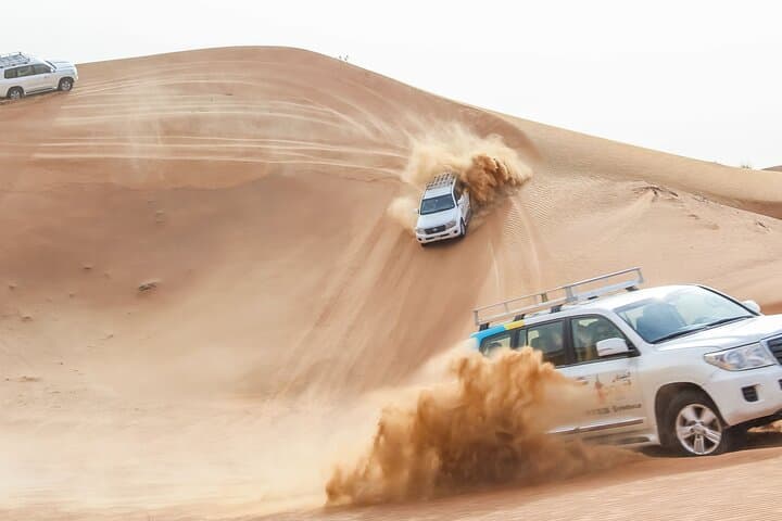 Dubai Desert Safari: Dune Bashing, Falconry & Evening Camp Experience photo 3