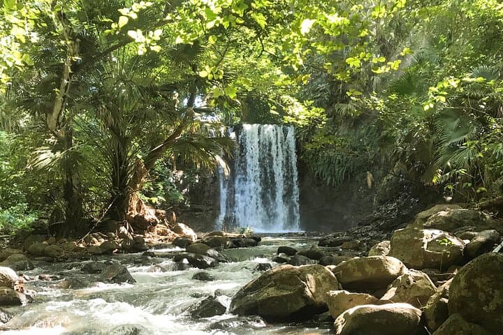Wild South Coastal Hike & Waterfall Exploration, Gris Gris - Mauritius photo 6