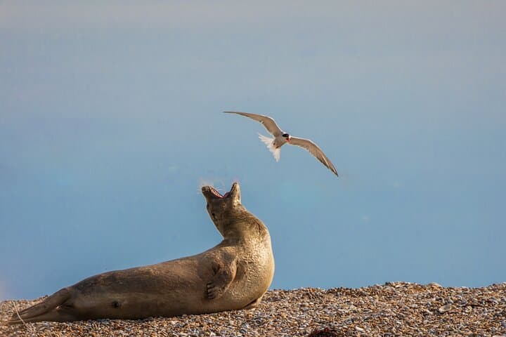 Explore Norfolk: Hidden Gems Tour App, Treasure Hunt & Big Britain Quiz (7 Day Pass) photo 3