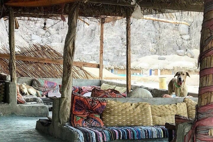 3-Day Ras Shaitan Camp: Nuweiba Desert & Reef Escape from Cairo photo 2