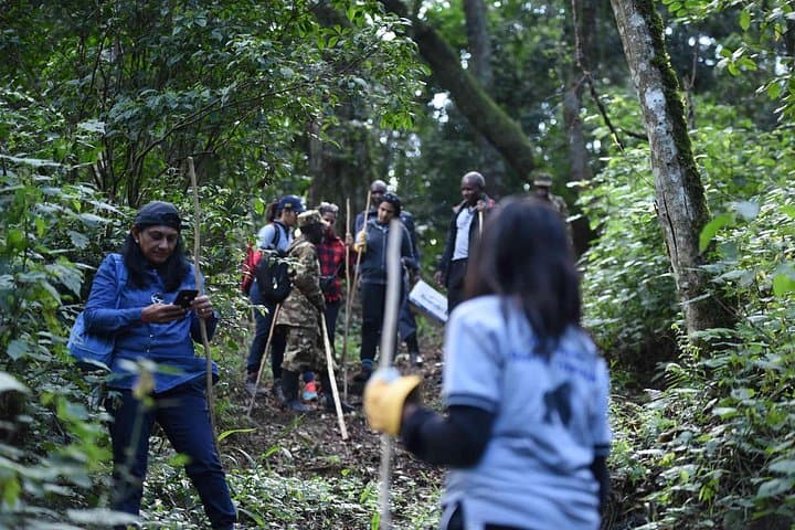 7-Day Private Gorilla Tracking & Wildlife Safari from Entebbe — Bwindi, Queen Elizabeth & Lake Mburo photo 2